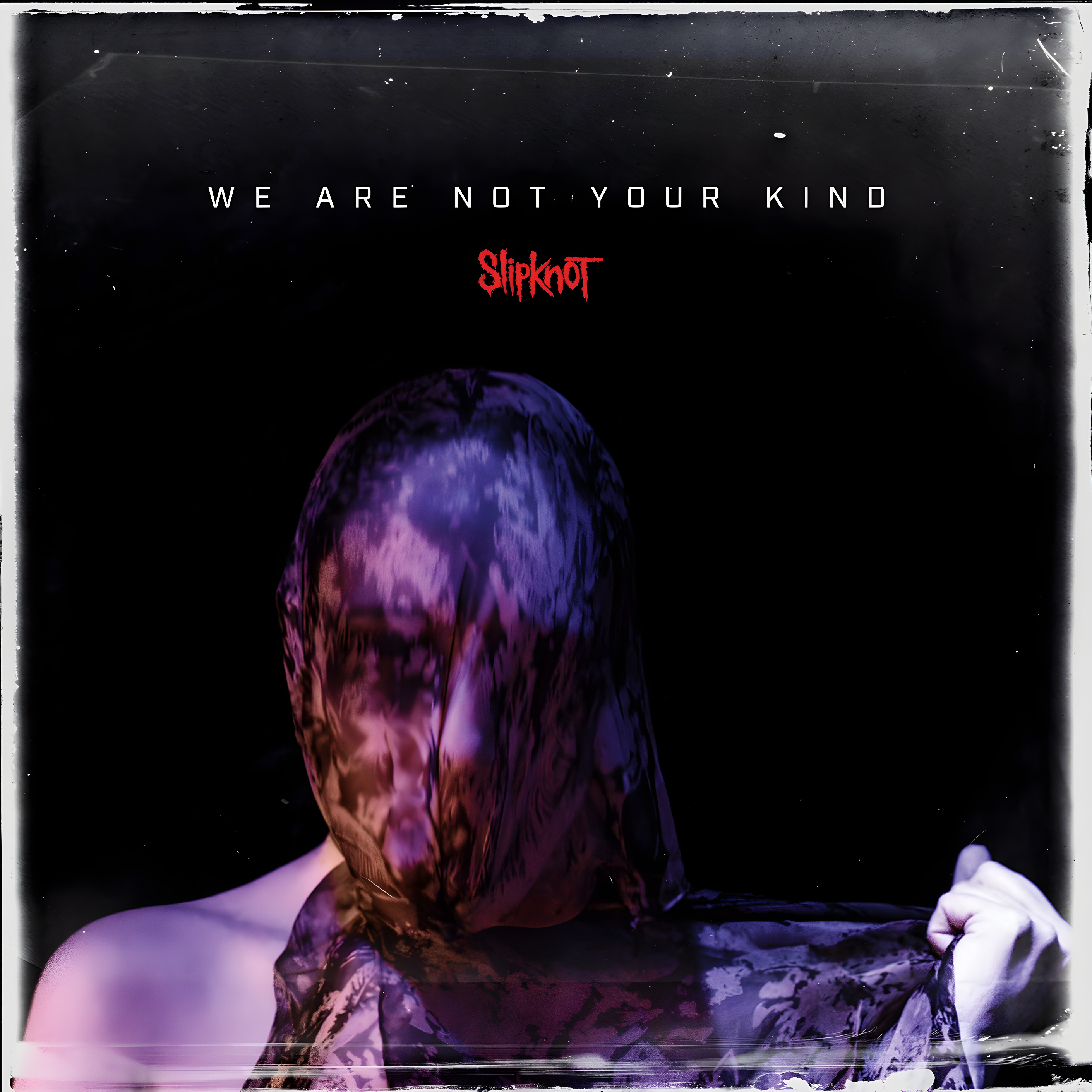 We Are Not Your Kind by Slipknot album cover