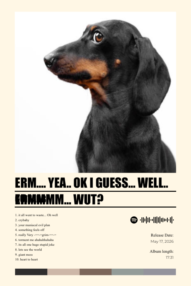 Album poster for erm.... Yea.. ok I guess... Well.. ermmmm... wut? by guitarbf